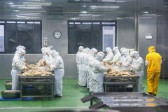 <b>新华视点丨关于预制菜必需厘清的几个问题</b>